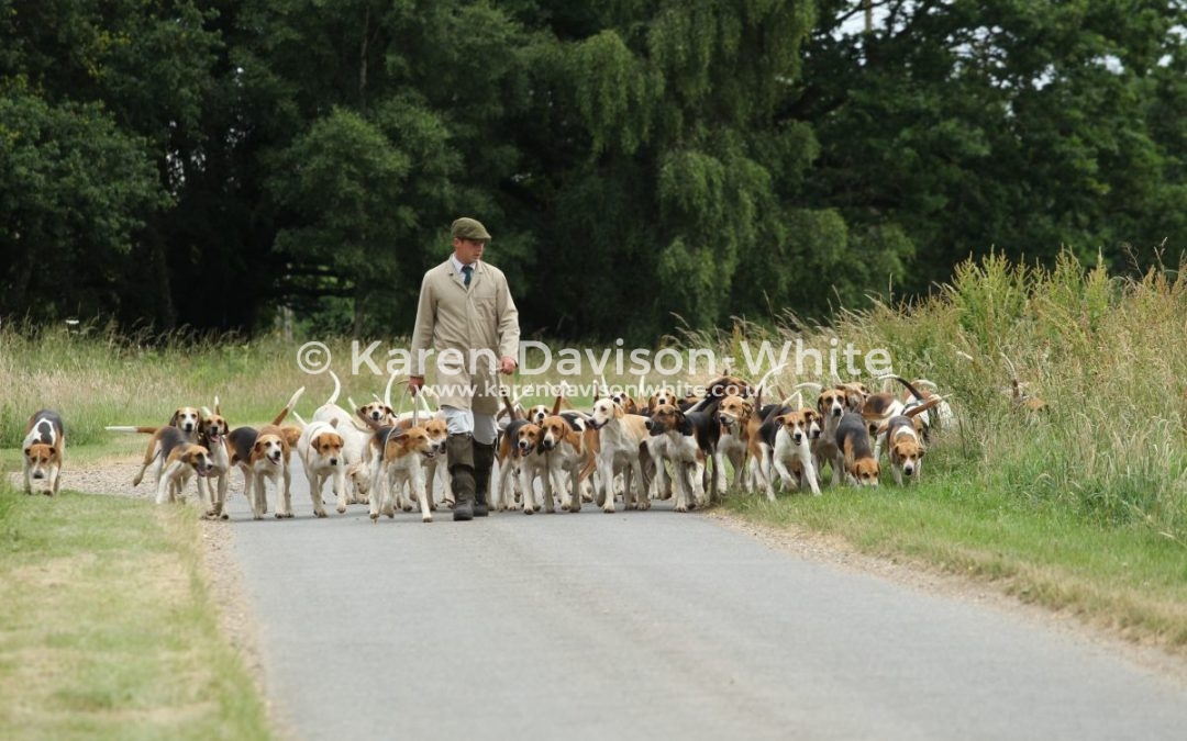 Waveney Harriers walking out
