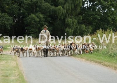 IMG_8830Waveney Harriers karendavisonwhite