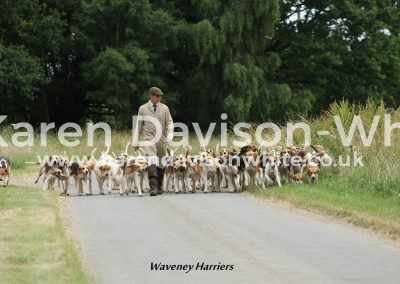 IMG_8830Waveney Harriers karendavisonwhitewebsite