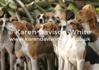 IMG_8843waveney harriers kdwimge