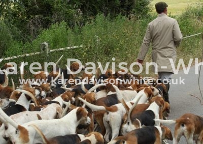 IMG_8853Waveney Harriers karendavisonwhite