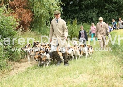 IMG_8904Waveney Harriers hound exercise karendavisonwhite