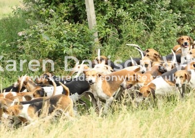 IMG_8912wh karendavisonwhite