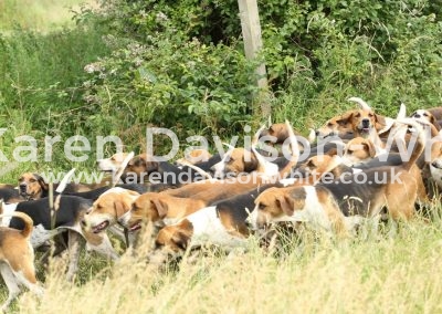 IMG_8913wh karendavisonwhite