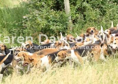 IMG_8914wh karendavisonwhite