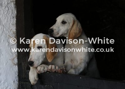 IMG_8961The Spectators