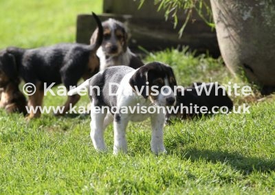 IMG_8974karendavisonwhite