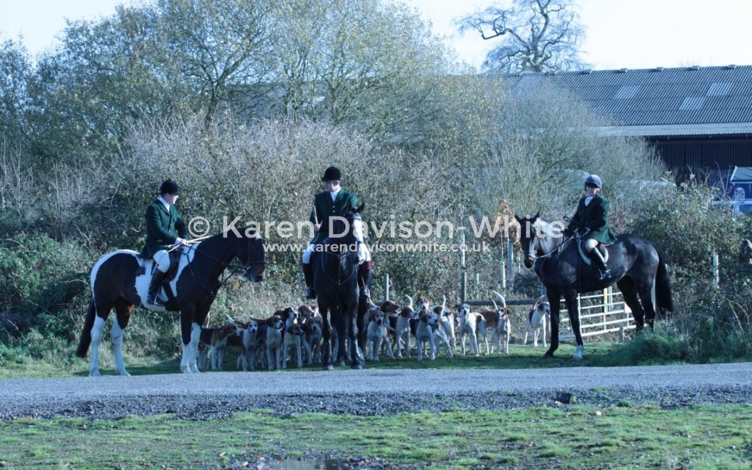 Waveney Harriers
