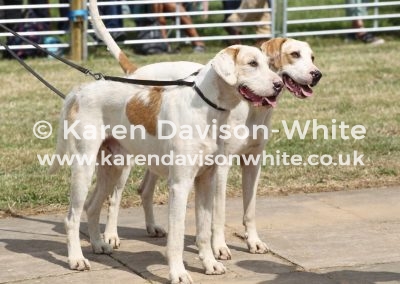 IMG_9036Cattistock Deakin and Grimstone 2nd couple entdgh.class