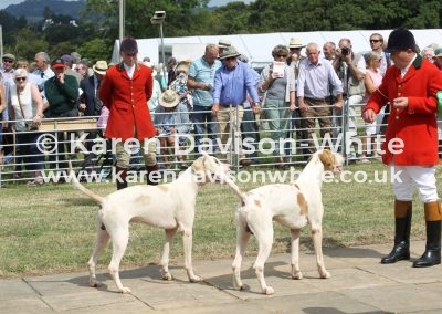 IMG_9038Dulverton West Griffin and Growler 4th couple ent. dgh