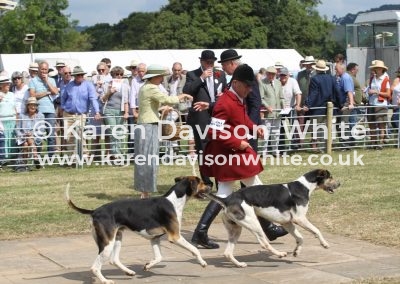 IMG_9041South and West Wilts