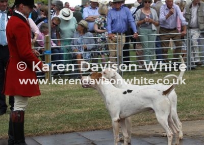 IMG_9045West Somerset Carpenter and Catford by NC Carbine '12