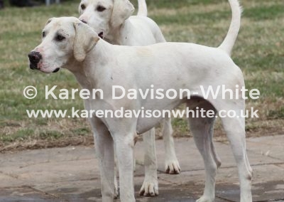 IMG_9049 VWH Janitor and Nomad won best couple ent.dgh.