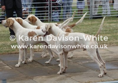 IMG_9064Dulverton West 2nd Griffin, Granite by NC Greenwich 13 and Growler and Bellman by Griffin 16