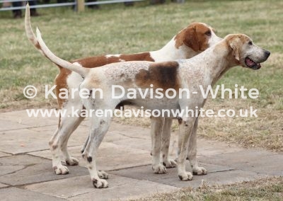 IMG_9109VWH Fowler more red and Nightshirt