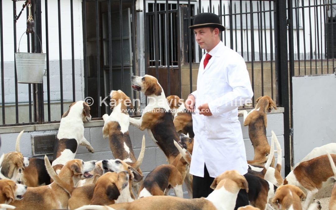 Dunston Harriers Puppy Show 25.6.17 take two