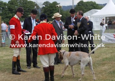 IMG_9189North Cots Battleaxe chdgh. Honiton 19