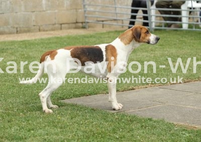 IMG_9267Best working bitch Waitress karendavisonwhite