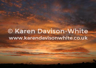 img_9396norfolk-sky-karendavisonwhite