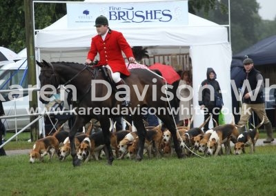 IMG_9430Dunston Harriers royal norfolk show june28 2017karendavisonwhite