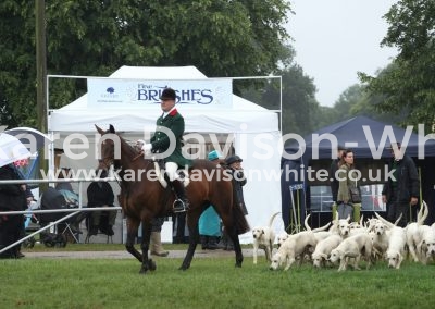 IMG_9434North Norfolk Harriers karendavisonwhite