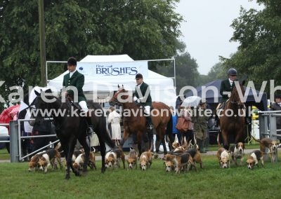 IMG_9442Waveney Harriers karendavisonwhite royal Norfolk show 2017