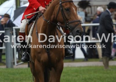 IMG_9451Freddie Morby KH West Norfok Foxhounds karendavisonwhite