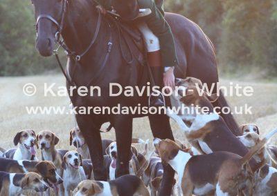 img_9588wh-karendavisonwhite