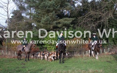 New Year’s Day 2018 random shots take two