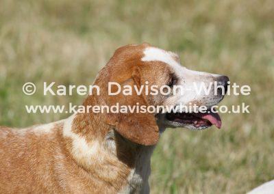 img_9671svb-womble-karendavisonwhite