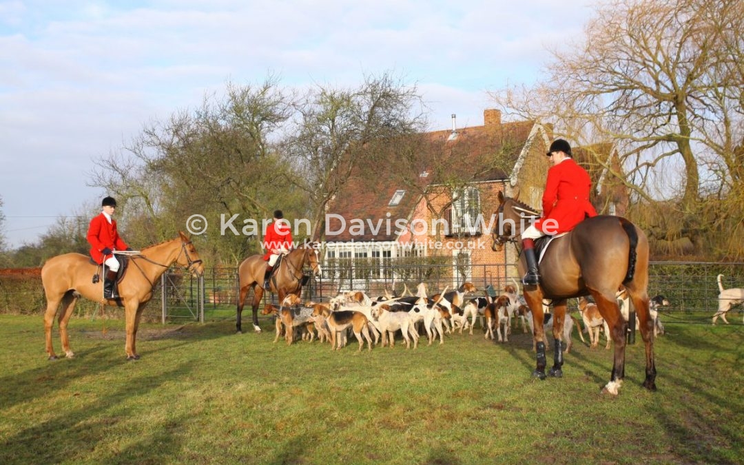 It is all about the hounds