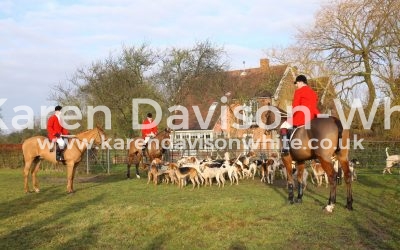 It is all about the hounds