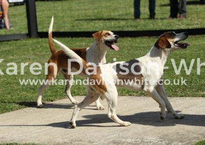 IMG_9839Lawyer Latimer kdwimage