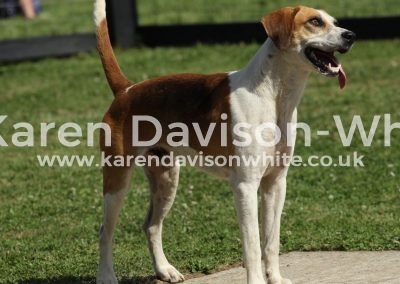 IMG_9842think Lawyer kdwimage