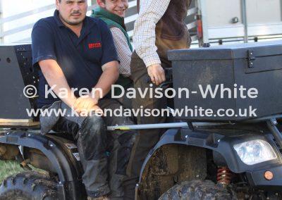 img_9903kdwimage