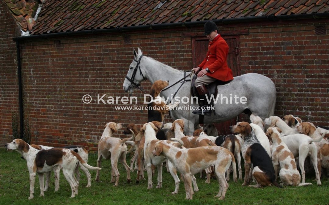 West Norfolk Foxhounds